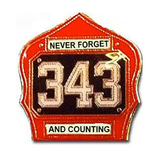 9-11 20th Anniversary Never Forget Helmet Shield Fire Patch